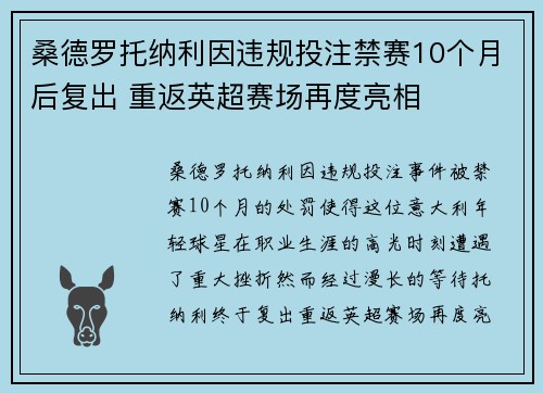 桑德罗托纳利因违规投注禁赛10个月后复出 重返英超赛场再度亮相